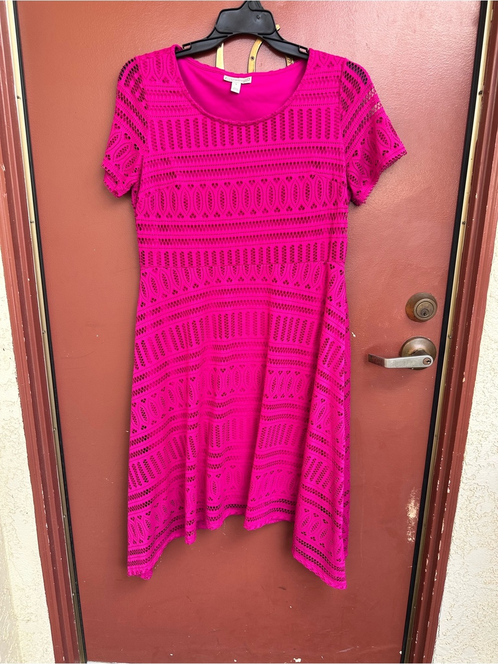 Dana Buchman Eyelet Lace Layered  Pink Fit & Flare Dress